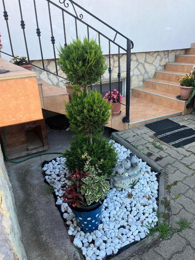 Rege Apartman Alsóörs エクステリア 写真